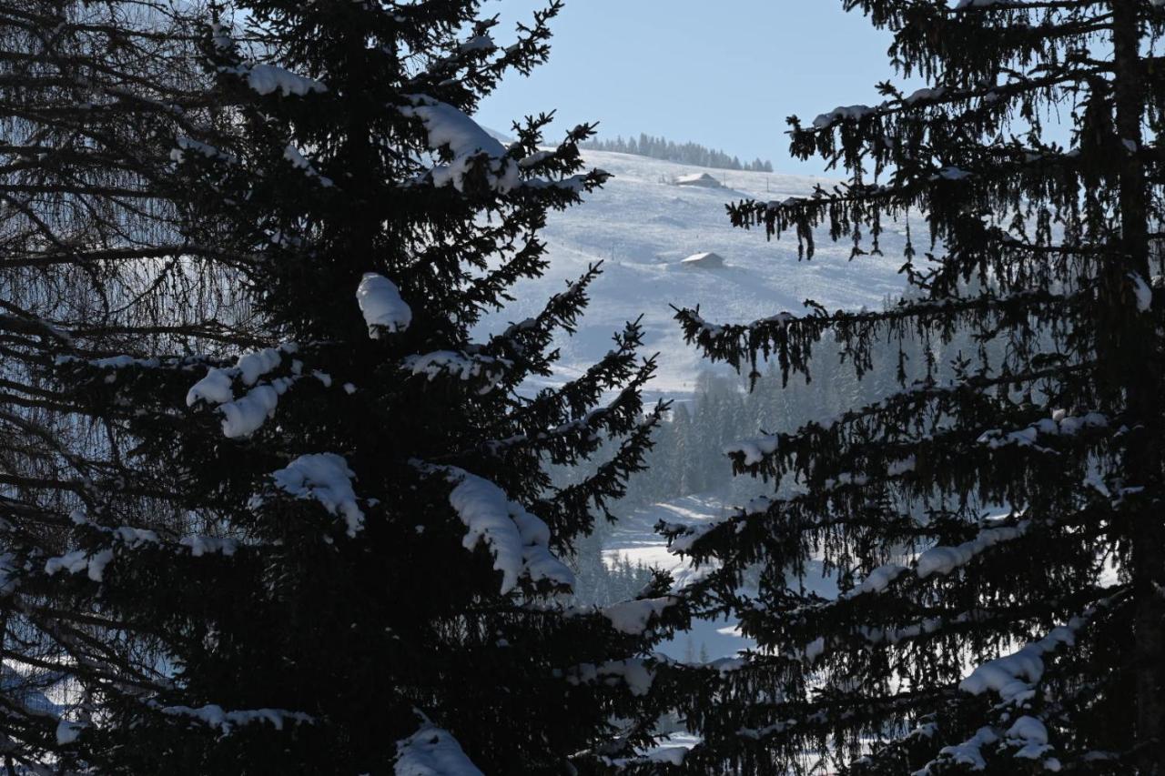 Les Bouquetins Διαμέρισμα La Clusaz Εξωτερικό φωτογραφία